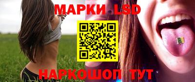 крисы Новокубанск