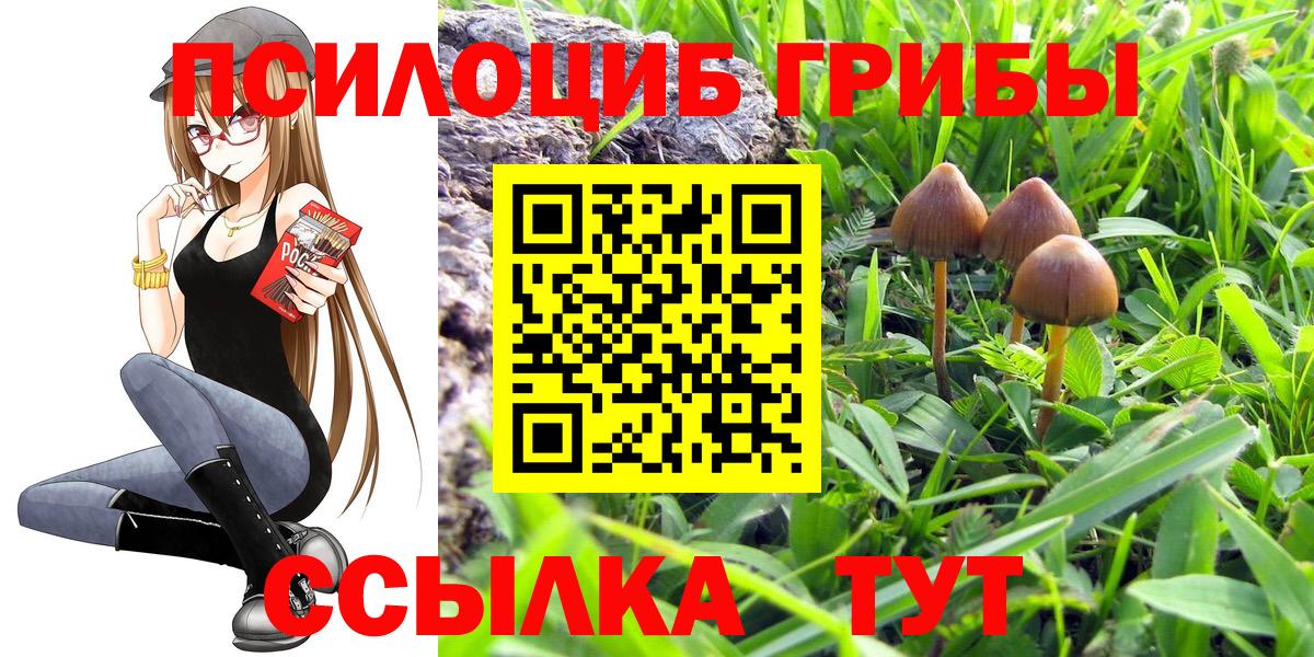 Галлюциногенные грибы MAGIC MUSHROOMS Рославль